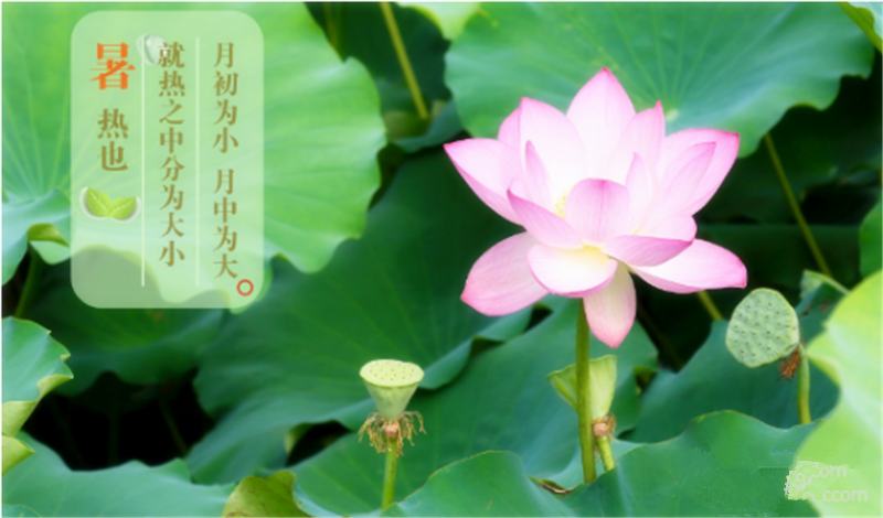 暑臻三伏醉難熬，拭汗揮巾似雨飄——鐵絲成型機