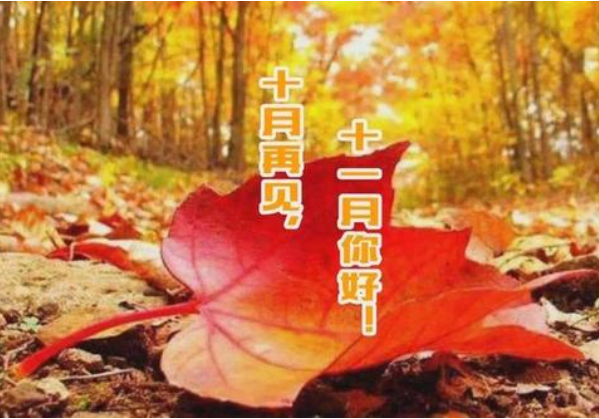 十月再見，十一月你好